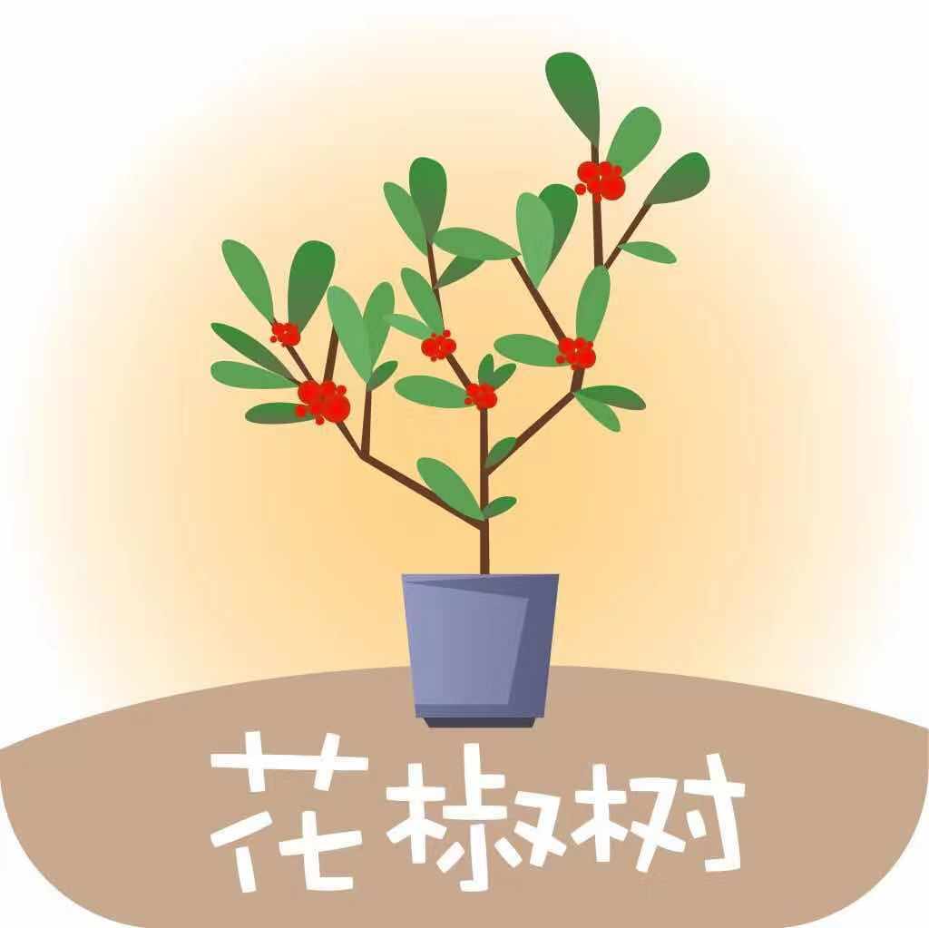 花椒树