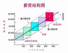 小薪意是哪个公司的(工资管家小薪意是什么软件)