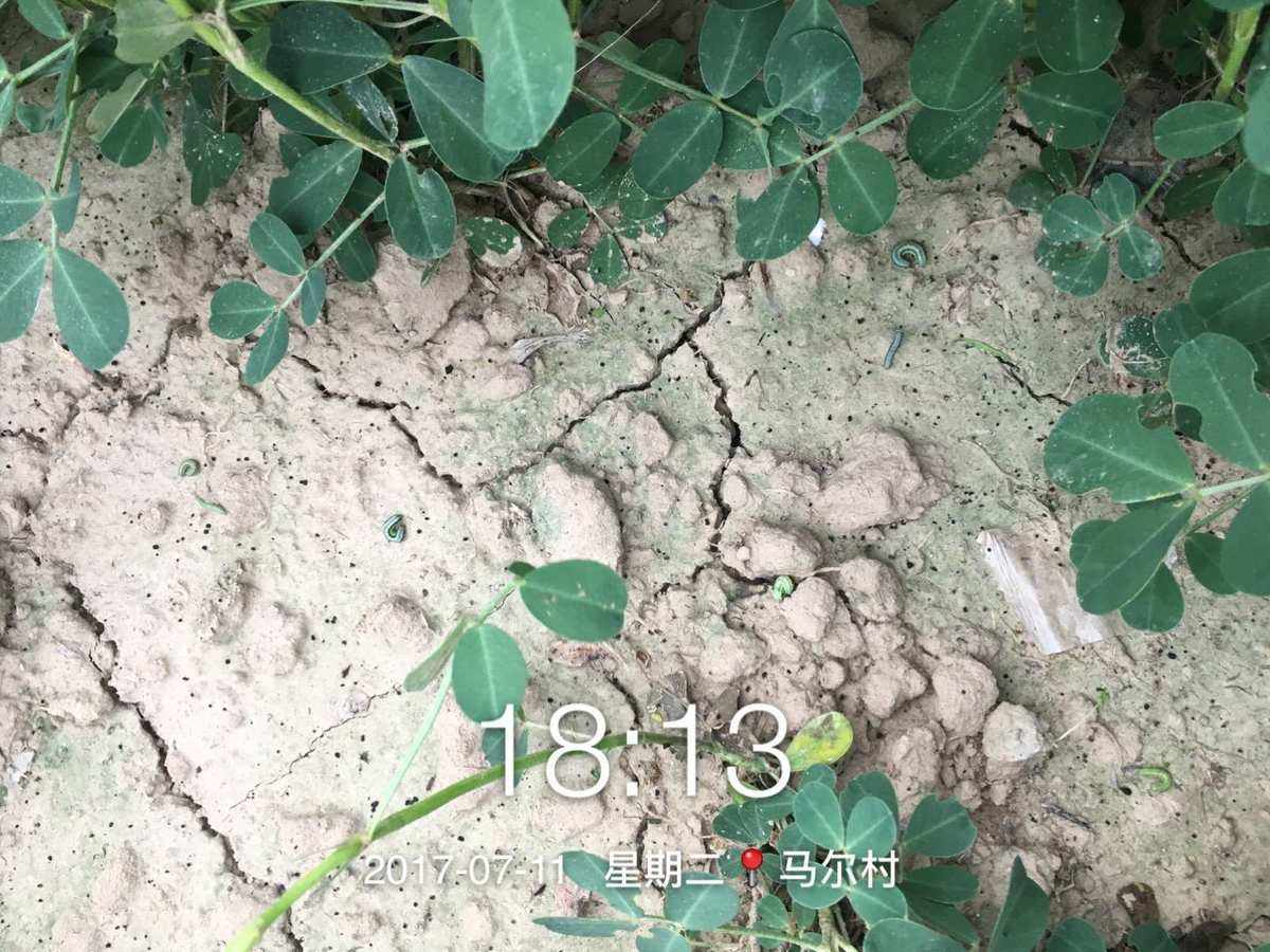 好立信最后都怎么解决的(好立信房产中介)
