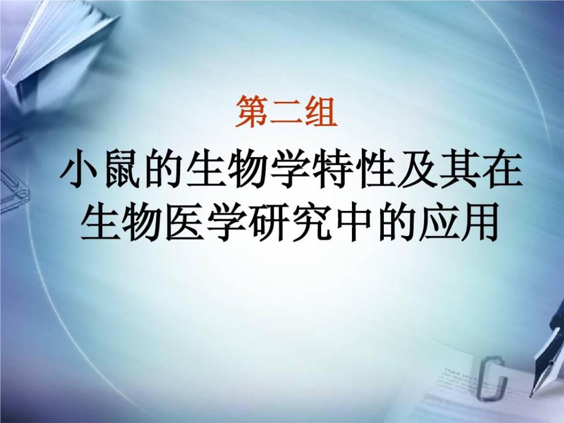 小白鼠网址(小白鼠0978)