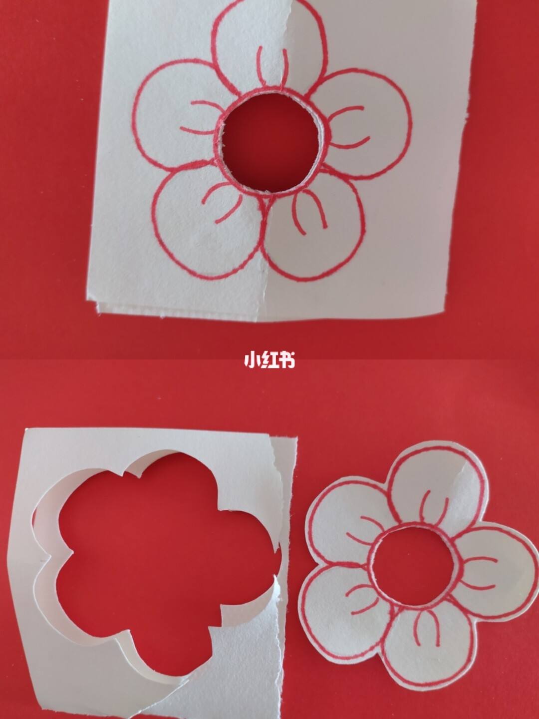小红花怎么样有人用过吗(小红花有啥用)