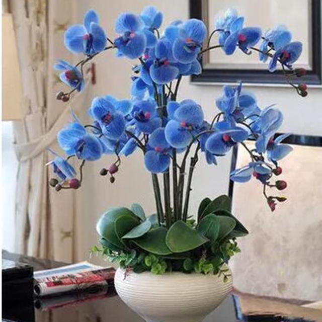 速易花最后怎么解决的(速易贷可以相信吗)