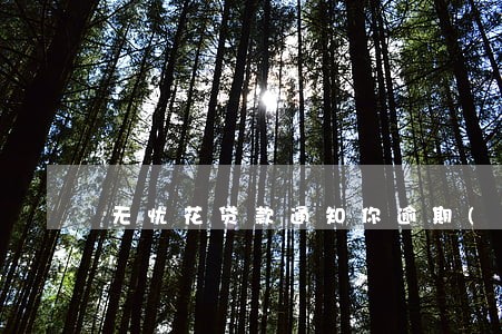 无忧花贷款app(无忧花贷款app入口官网)