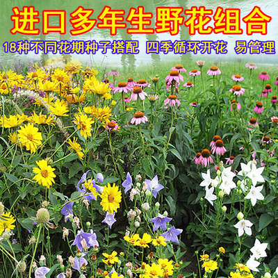 速易花属于哪个平台(速易贷app下载安装)