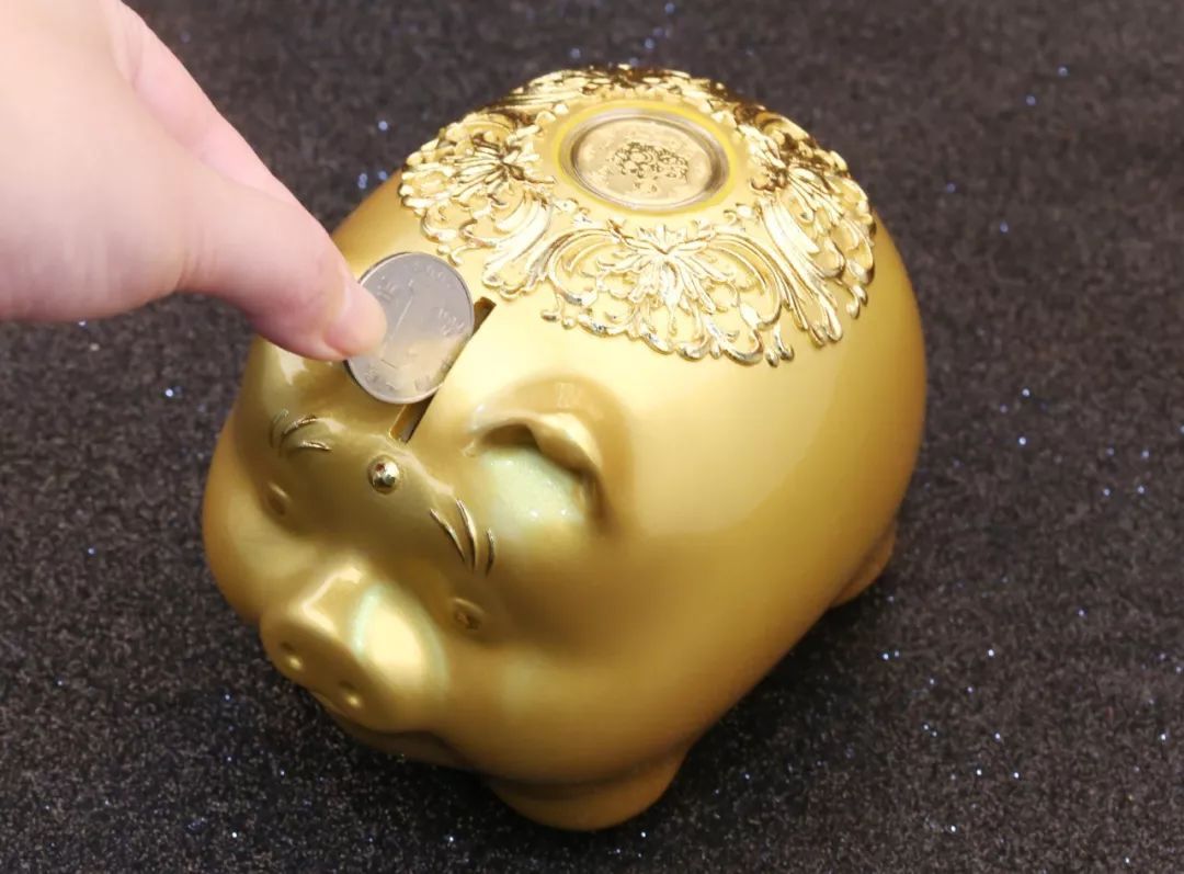 金猪怎么样?有人用过吗?(金猪怎么样?有人用过吗视频)