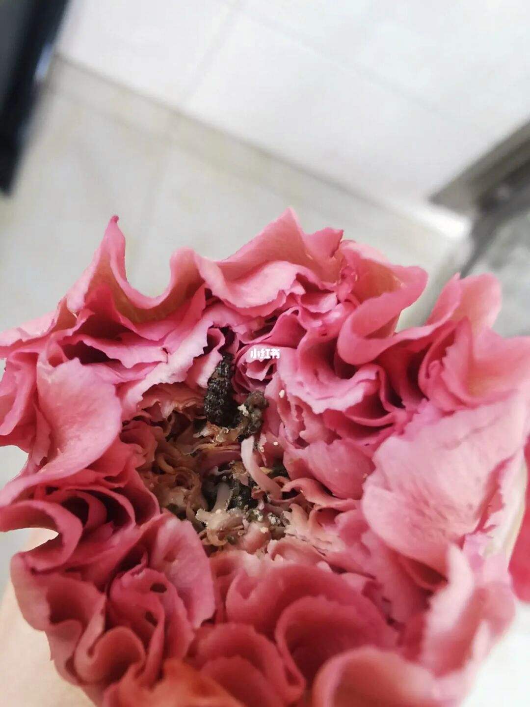 普融花违法吗(普融信贷可靠吗)