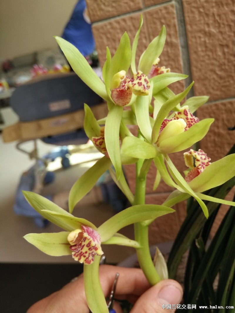 普融花违法吗(普融信贷可靠吗)