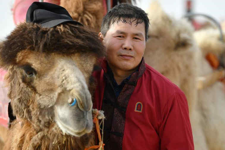 悦月分期如何报案(悦享分期贷款怎么样)