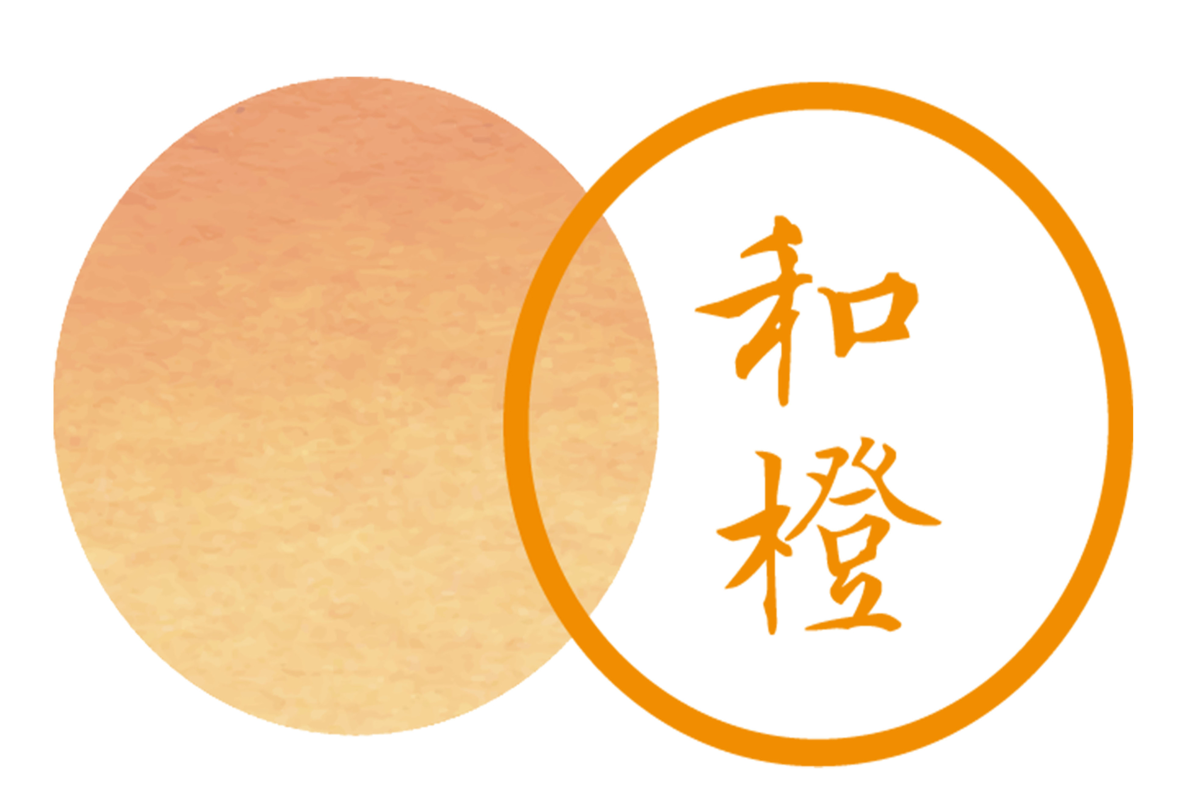 橙信宝是哪个公司旗下(橙信投资发展有限公司怎么样)