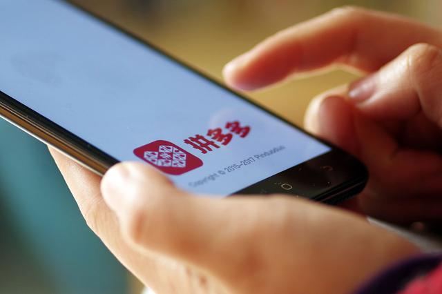 章鱼借呗强制放贷怎么处理(章鱼口袋借款app下载安装)
