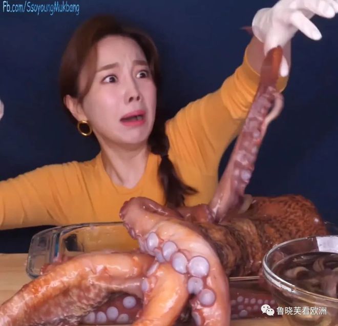 章鱼借呗下架了么(章鱼借钱app下载)
