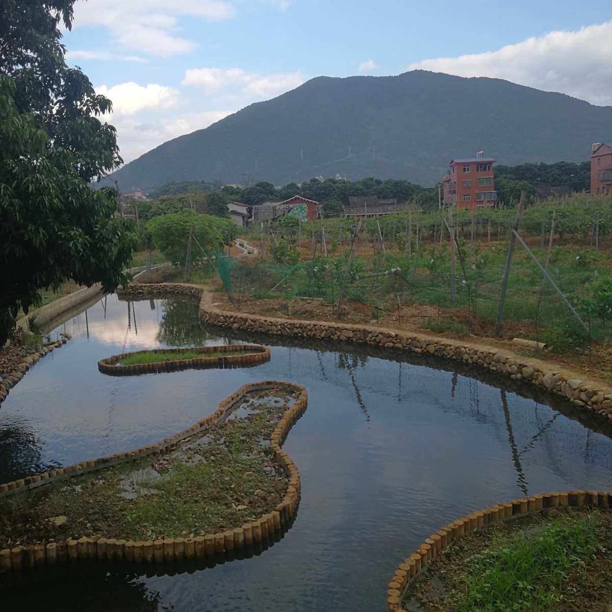 有心借怎么样(有心商城app)