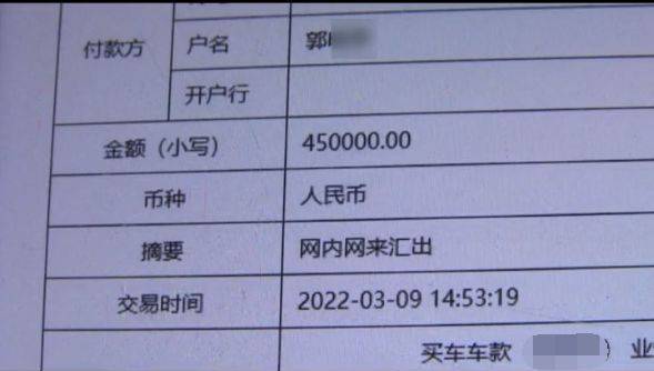 宝马逾期后可以不还吗(宝马延期)