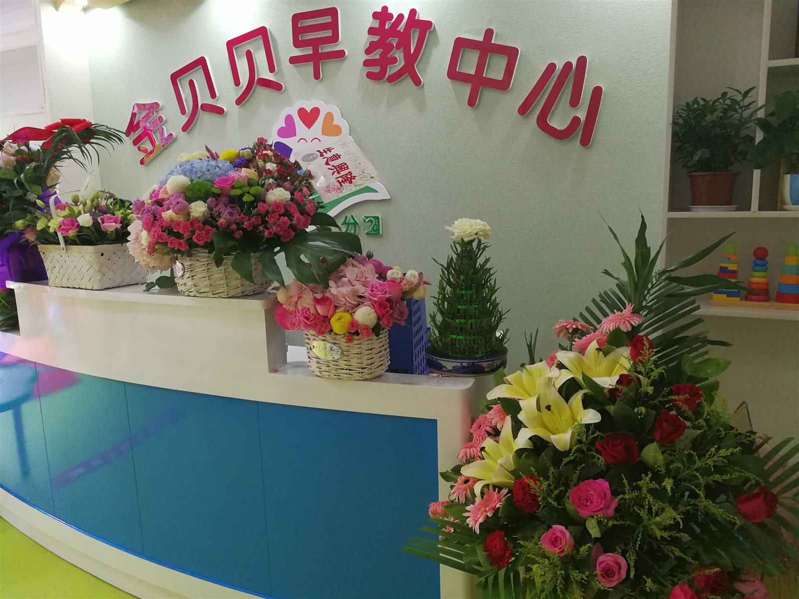 金贝贝是哪个公司的(金贝贝是谁啊)