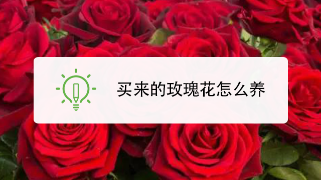 360自助花强制放贷怎么处理(360借款怎么自动还款)