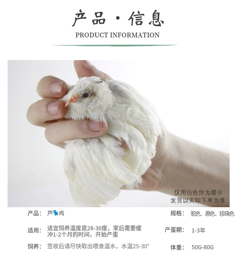 芸薪分期付款(云分期可靠吗)