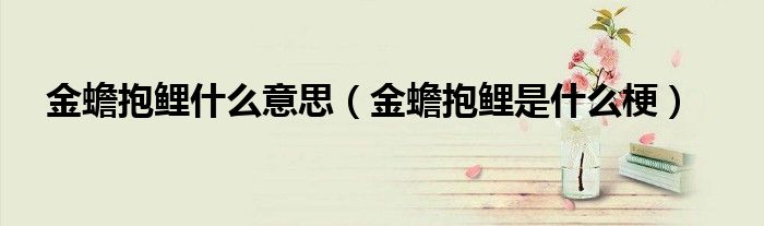 金蟾蜍怎么还款(金蟾蜍怎么读)