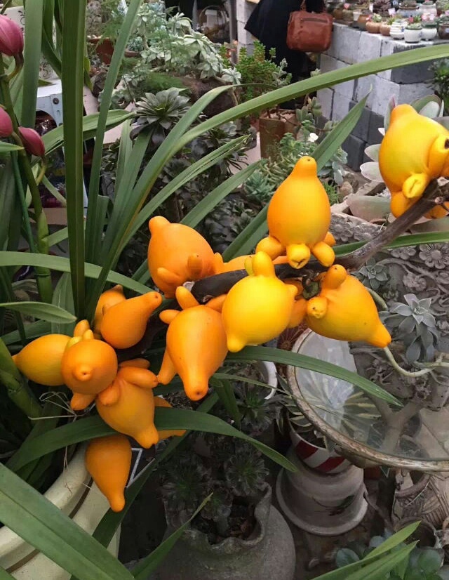琻葫芦是什么贷款的简单介绍