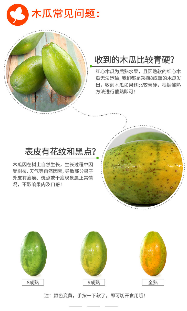 木瓜优品怎么样(木瓜科技有限公司)