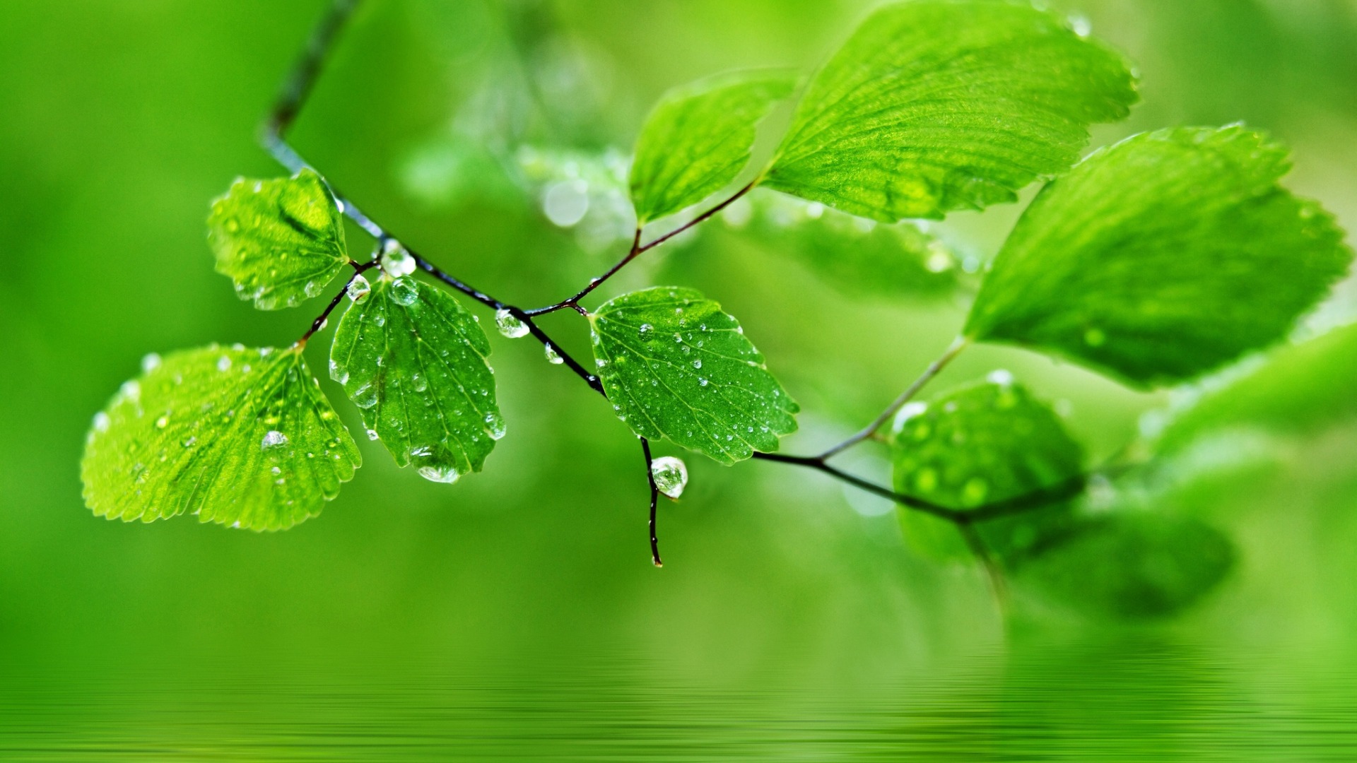 水滴分期下载(水滴分期app下载)