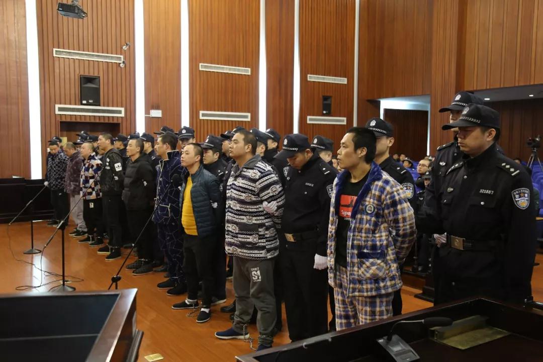 金蟾蜍强制放贷怎么处理的简单介绍