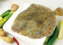 多宝鱼不还款上征信吗(多宝鱼贷款app还存在吗)