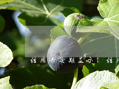 大爱汾期影响征信吗(爱大爱有效吗)