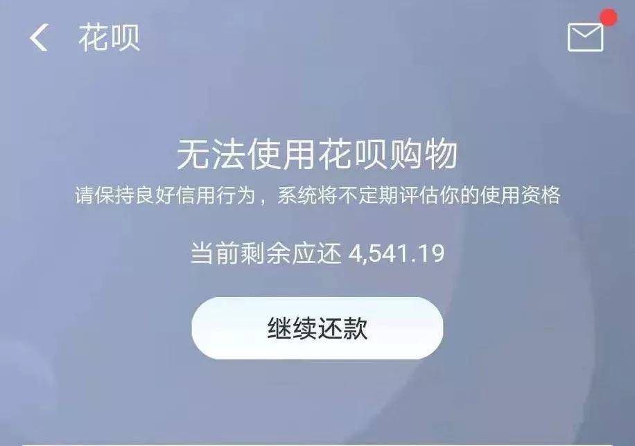 金圣花还款都是私人账户(金圣花还款都是私人账户还吗)