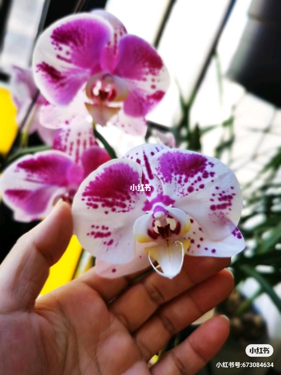 360自助花怎么样(360自助营销平台)