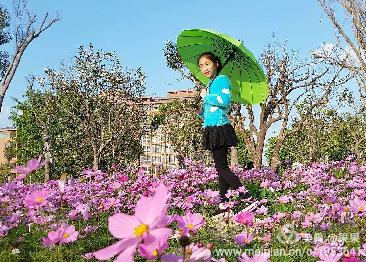 幸福花在哪儿下载(幸福花在哪儿下载到手机)