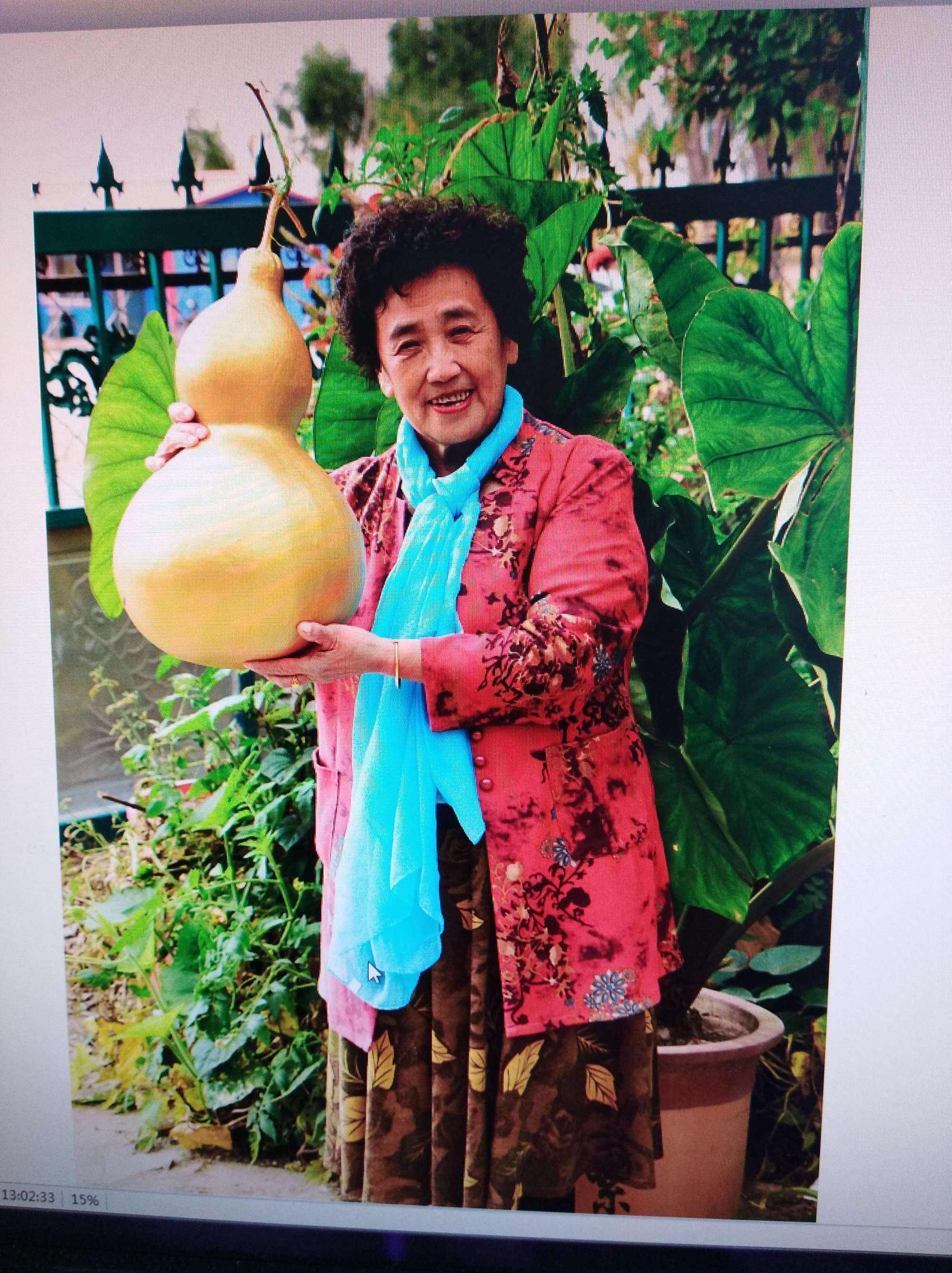 金葫芦电话是多少(金葫芦科技有限公司)
