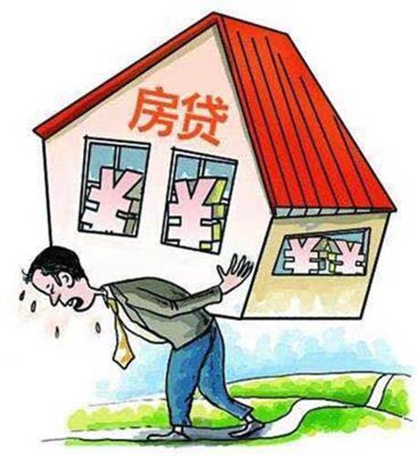 金圣花强制放贷还完款还会被套路吗(金圣花开富贵图片)