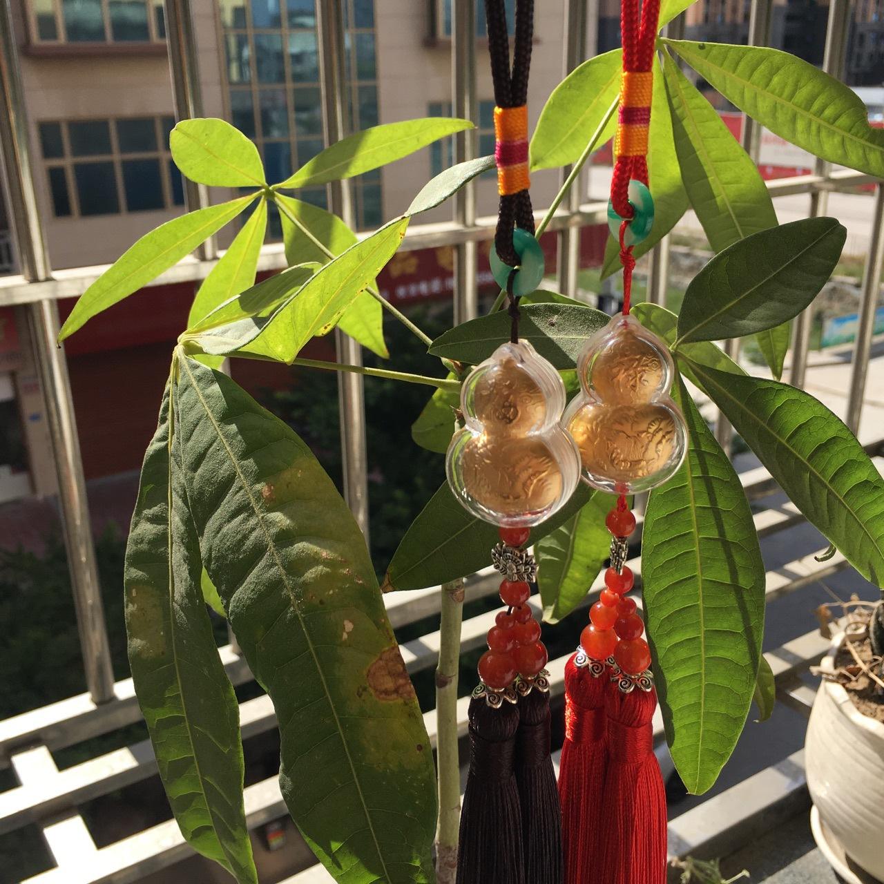 琻葫芦报警后怎么处理(葫芦里面总有响声是什么意思)