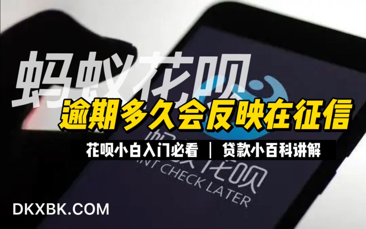 速易花不还会上征信的简单介绍