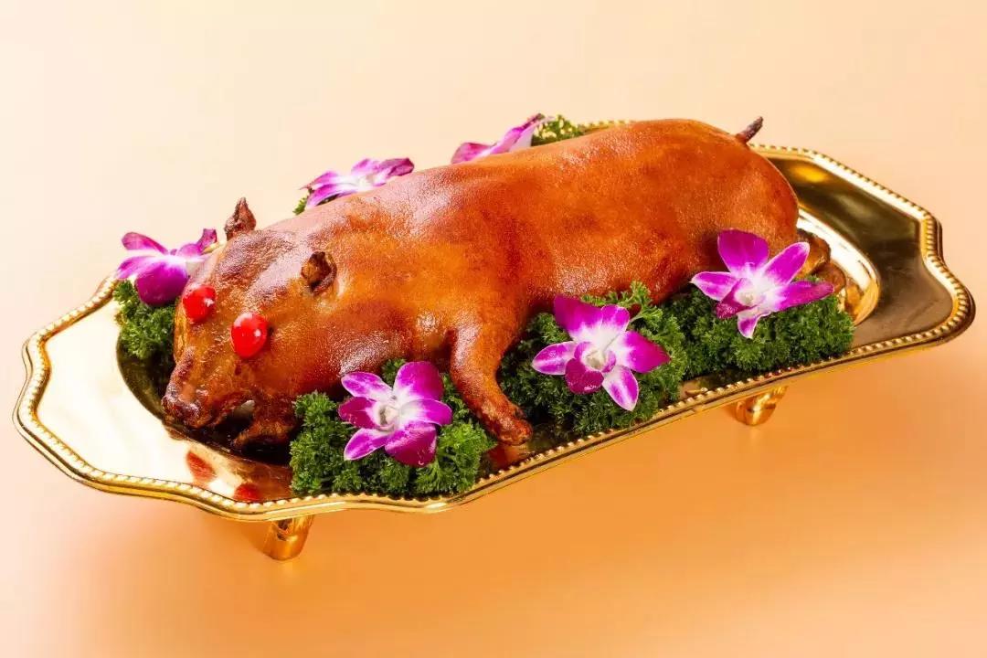 金猪上征信吗(金猪贷的入口在哪里)