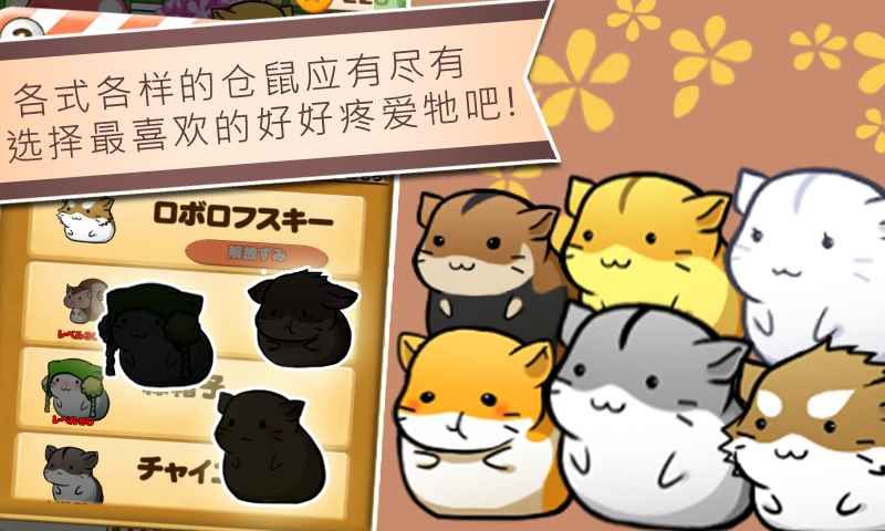 小仓鼠付款(小仓 鼠)