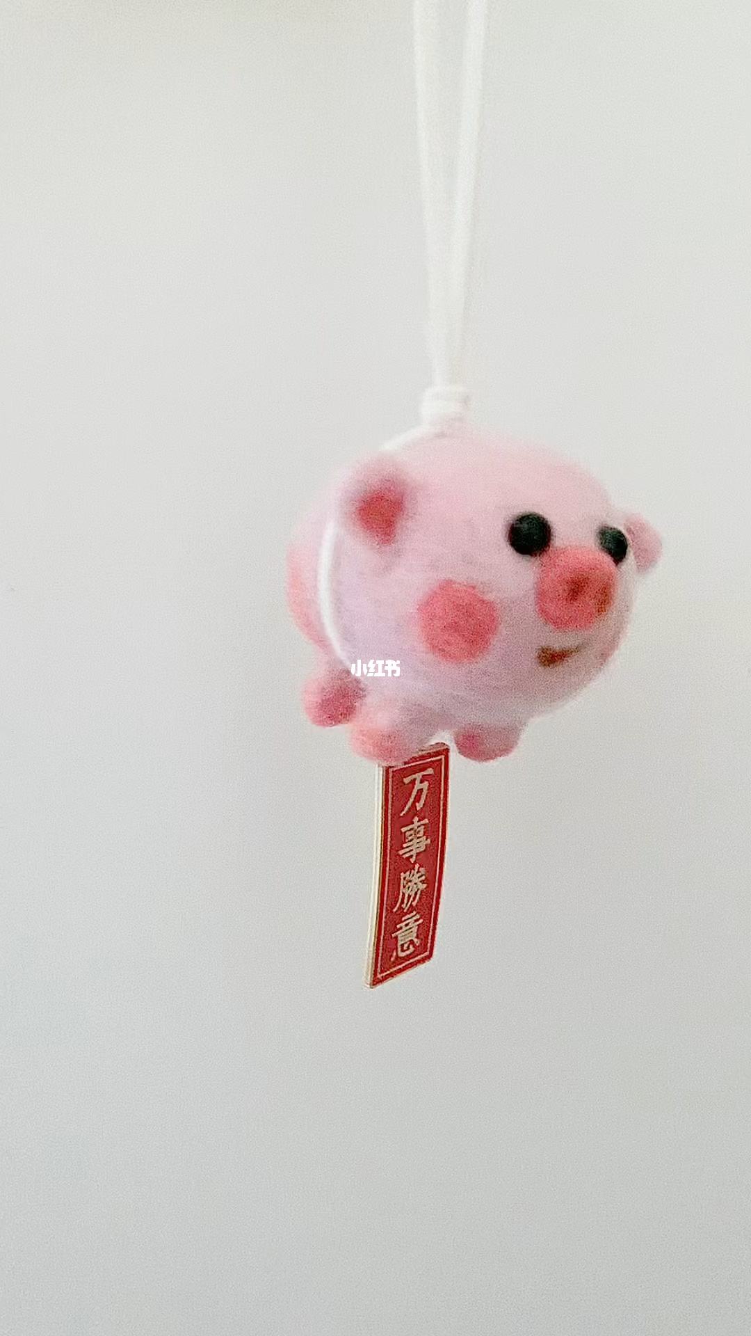 飞天小猪是国内的吗(飞天小猪电商服务有限公司)