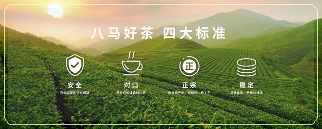 八马属于哪个平台(八马在哪个地方上市)