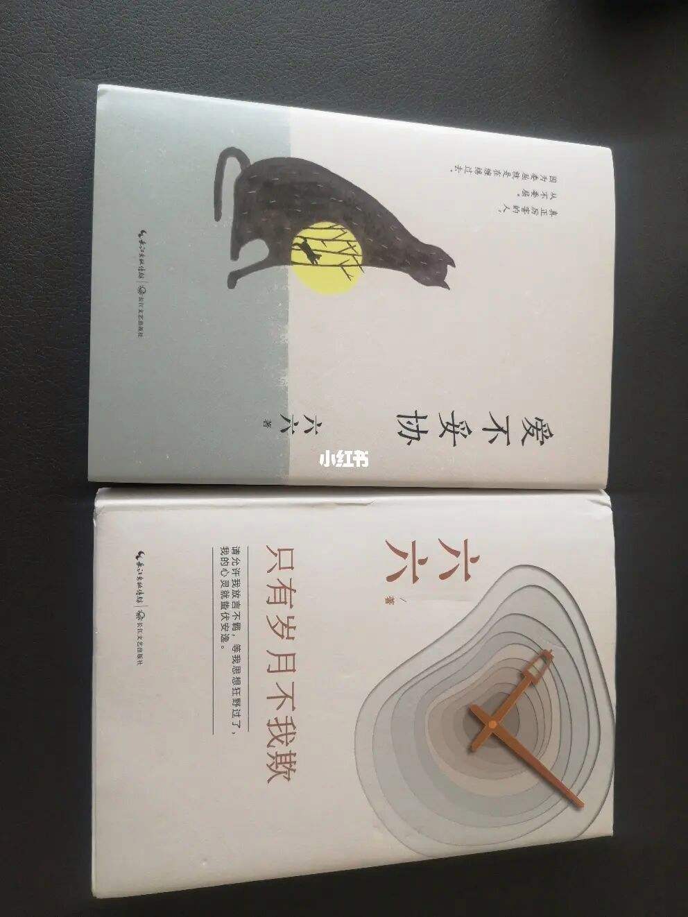 六六可不可以不还(六六借款)