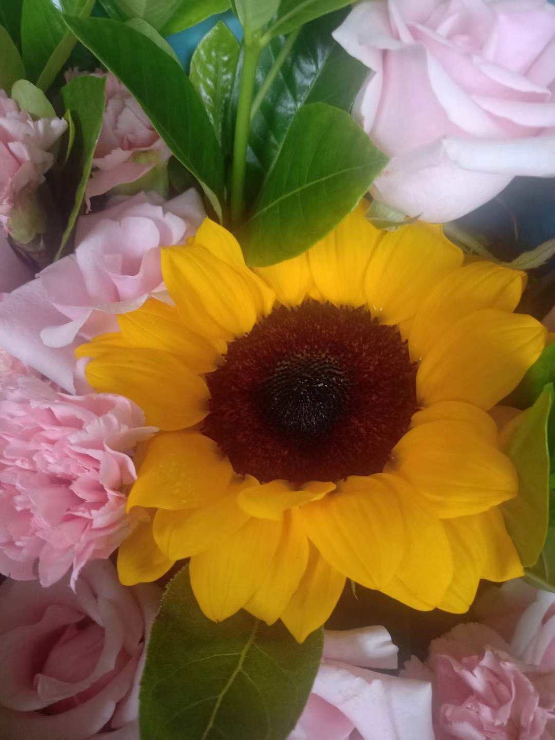 幸福花不还款会怎样(幸福花网贷不还会怎么样)