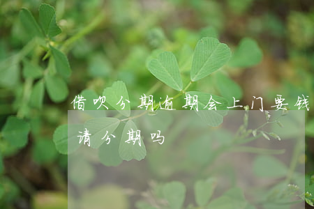 大爱分期逾期后可以不还吗(大爱怎么做代理收费吗)