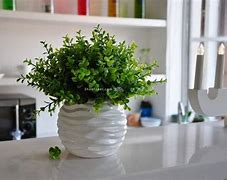 顺利花可不可以不还(顺利贷app)