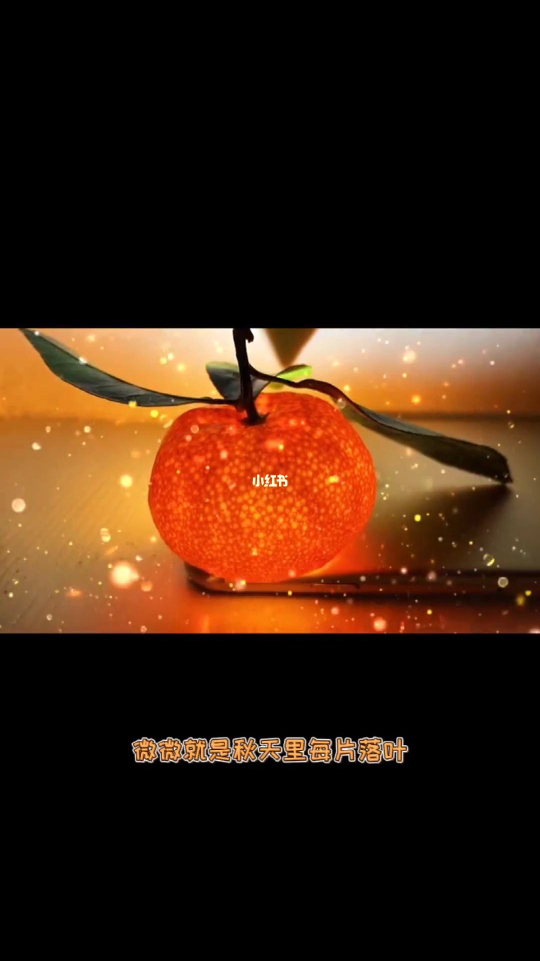 包含小橘子app在哪下载的词条