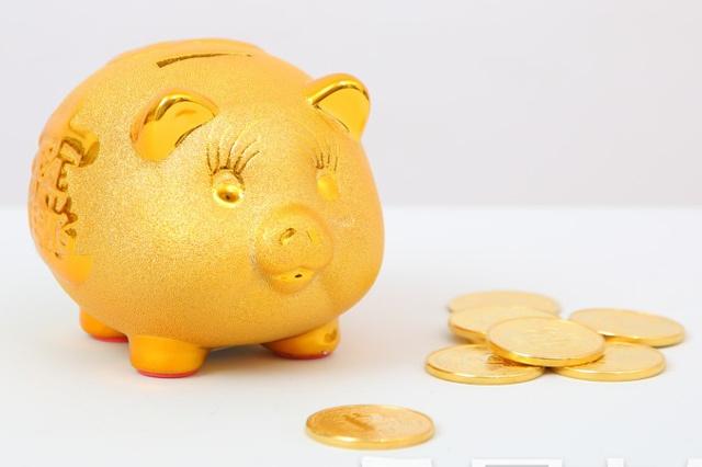 金猪可不可以不还的简单介绍