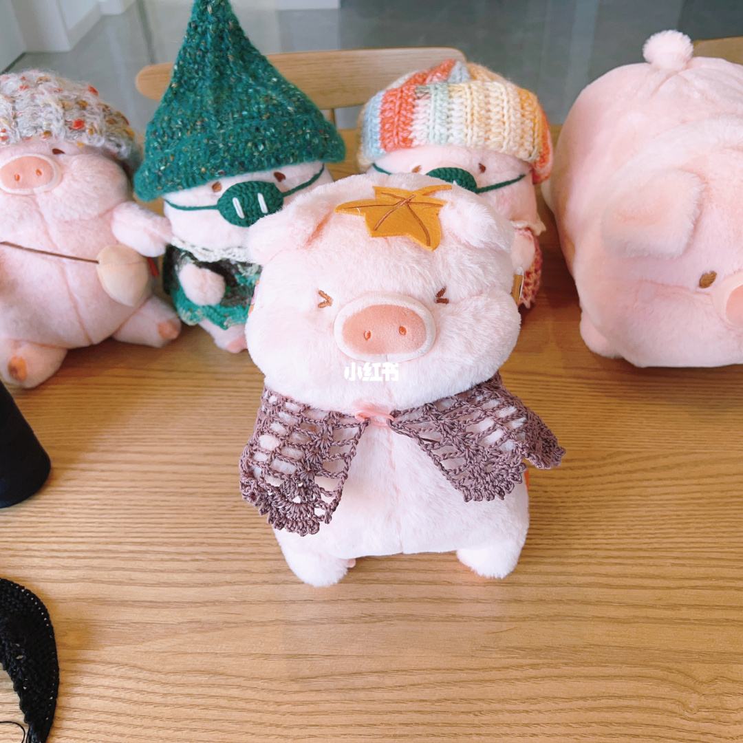 飞天小猪公司(飞天小猪名气)