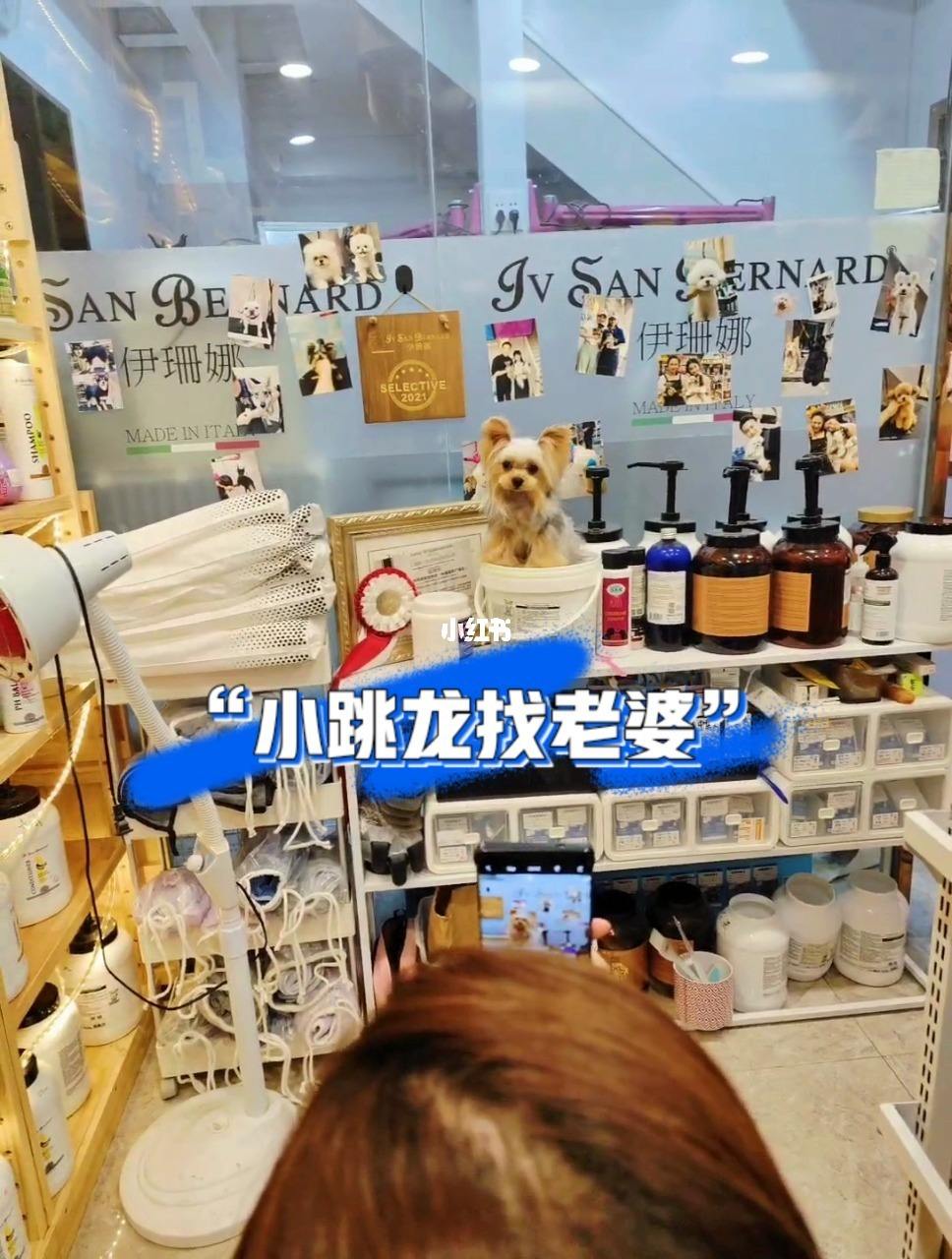 关于龙来借2800到账多少的信息