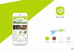 掌上花套路贷款(掌上花贷款的骗局有哪些)