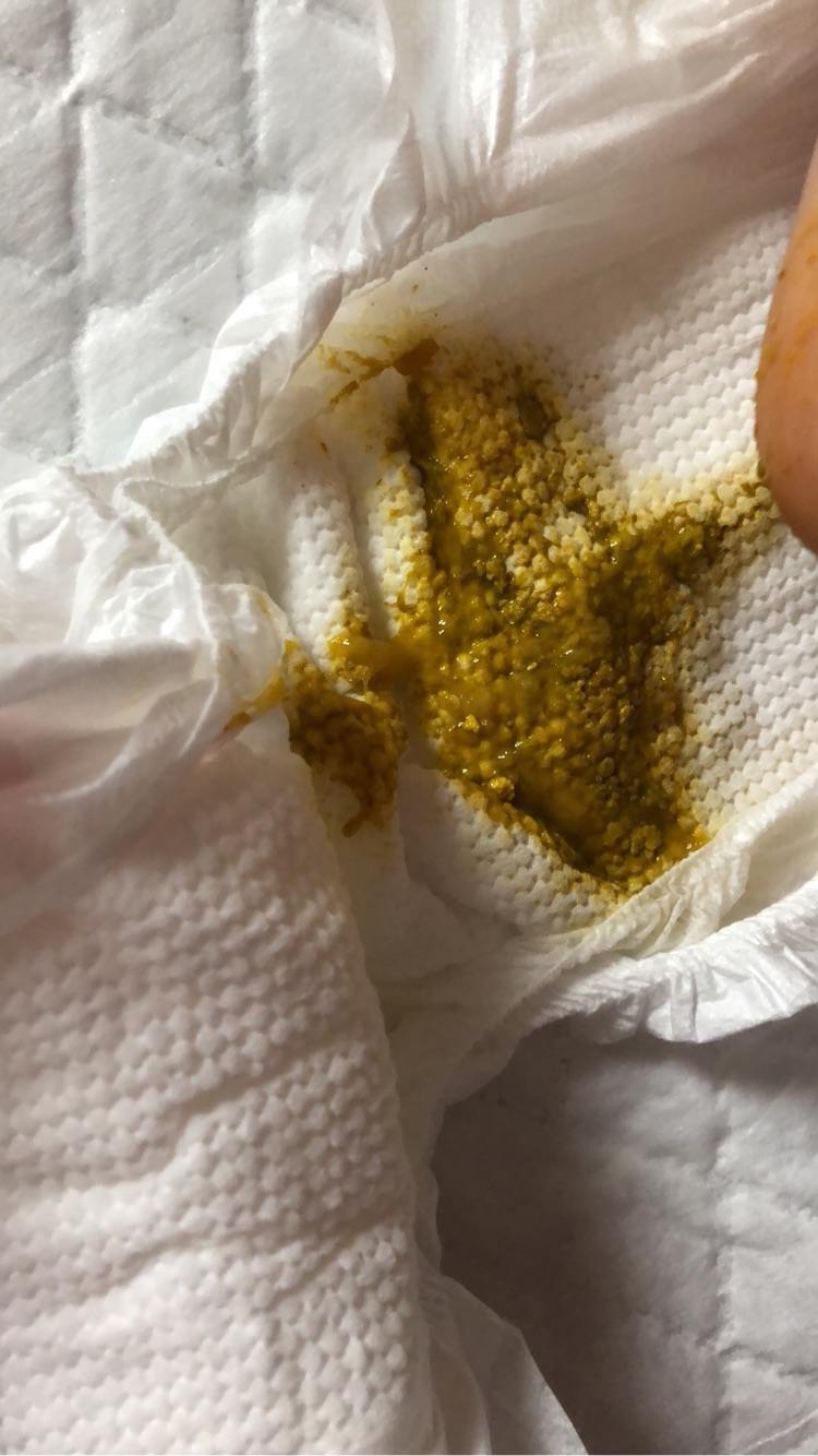 金贝贝靠谱吗(金贝贝啥意思)
