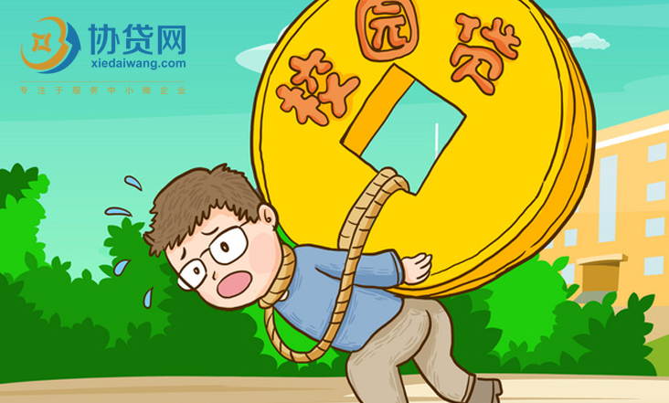盼盼分期强制放贷不还会怎样(盼盼金融)