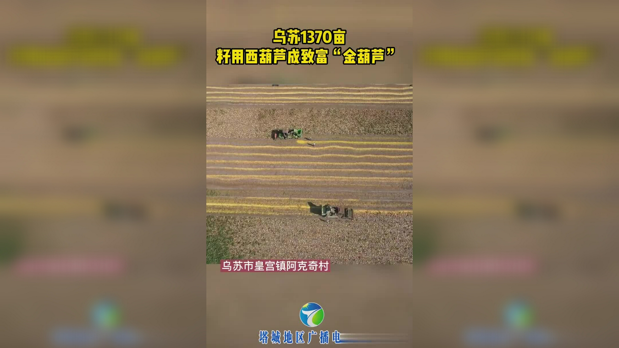 金葫芦app你们最后怎么处理的(金葫芦下载地址)